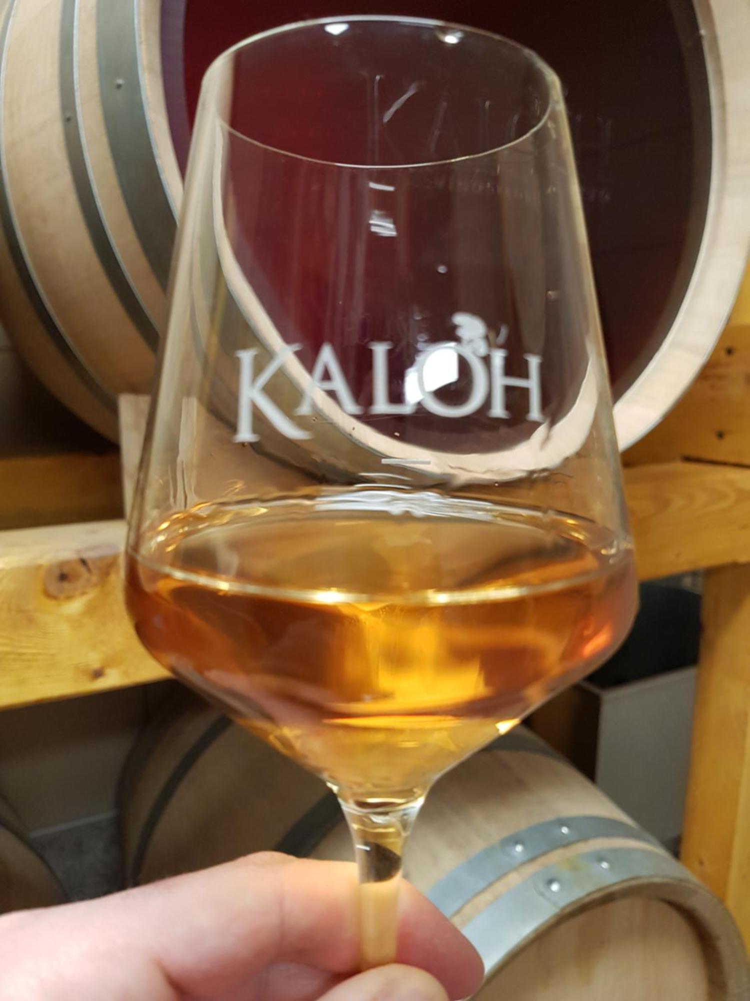 Vila Wine House Kaloh Maribor Exteriér fotografie