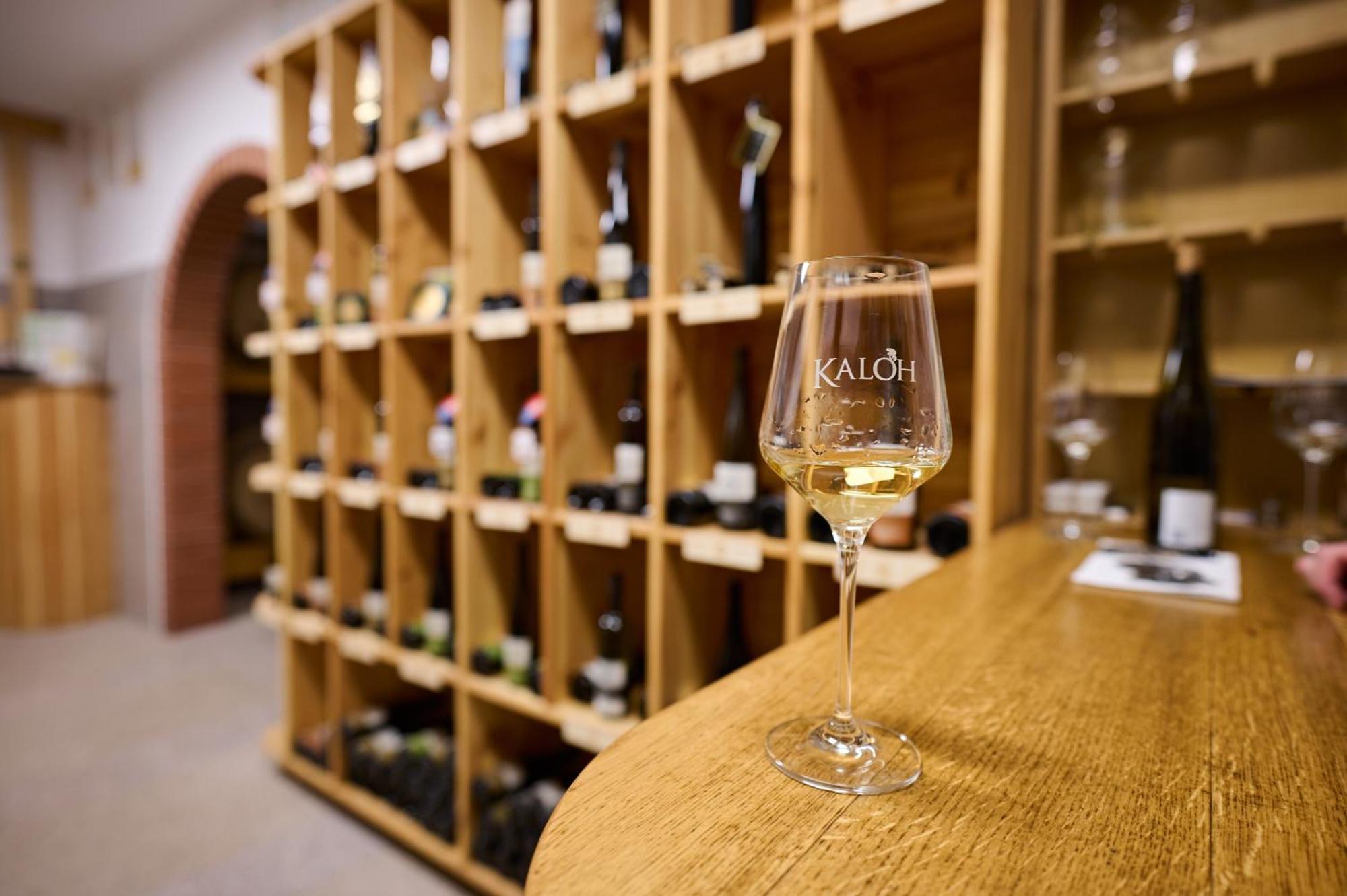 Vila Wine House Kaloh Maribor Exteriér fotografie