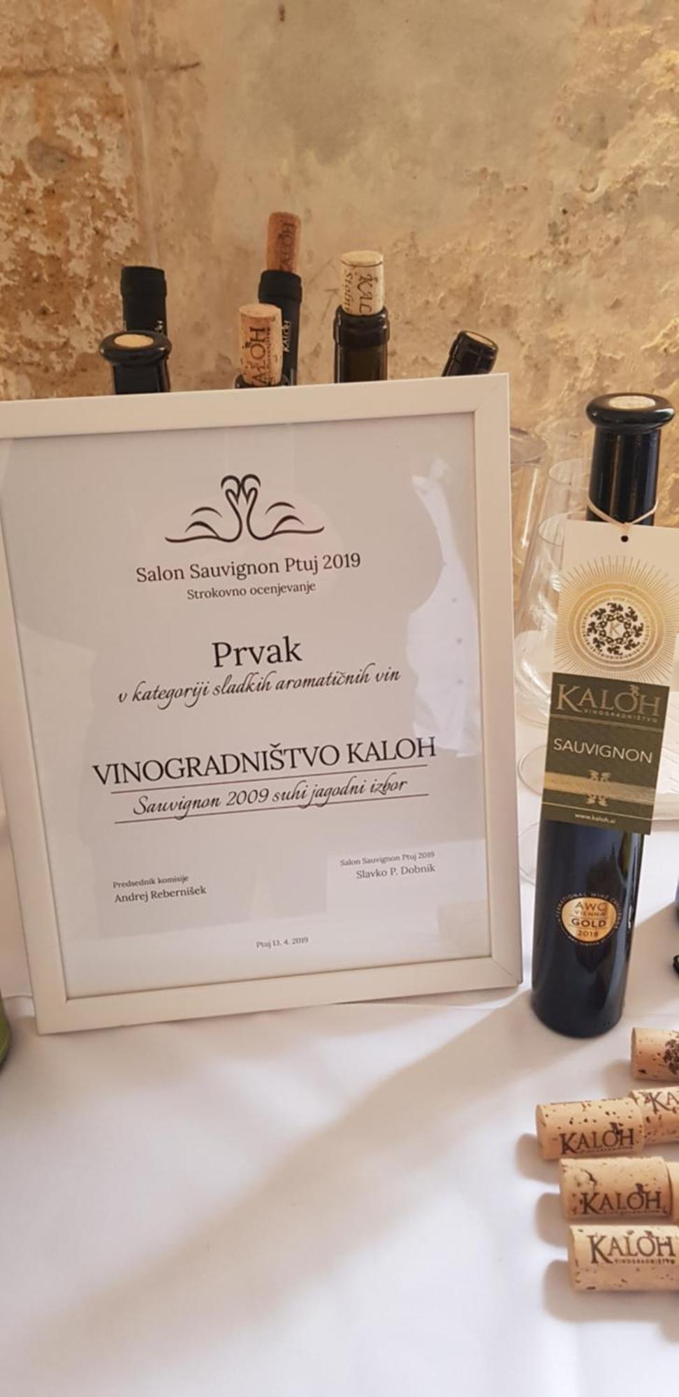 Vila Wine House Kaloh Maribor Exteriér fotografie