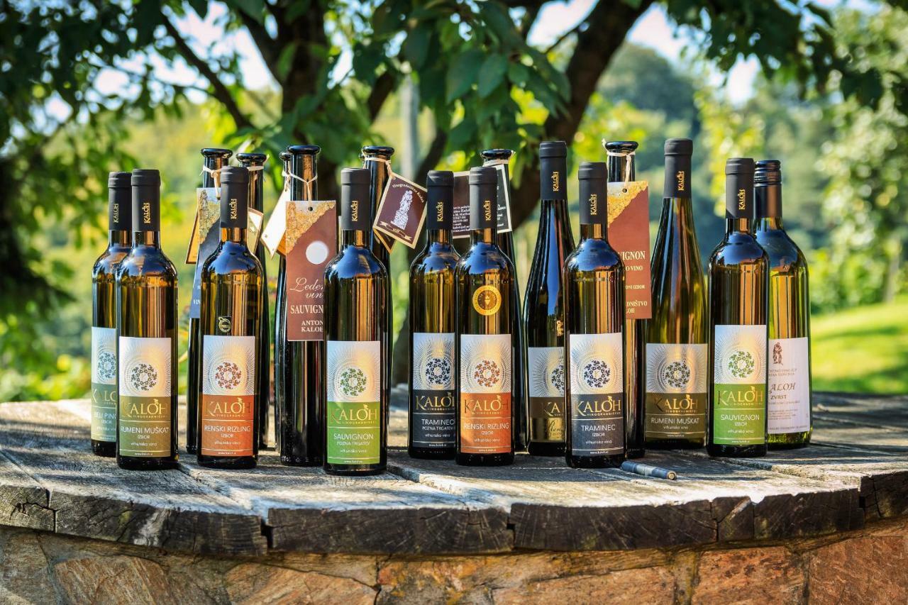 Vila Wine House Kaloh Maribor Exteriér fotografie