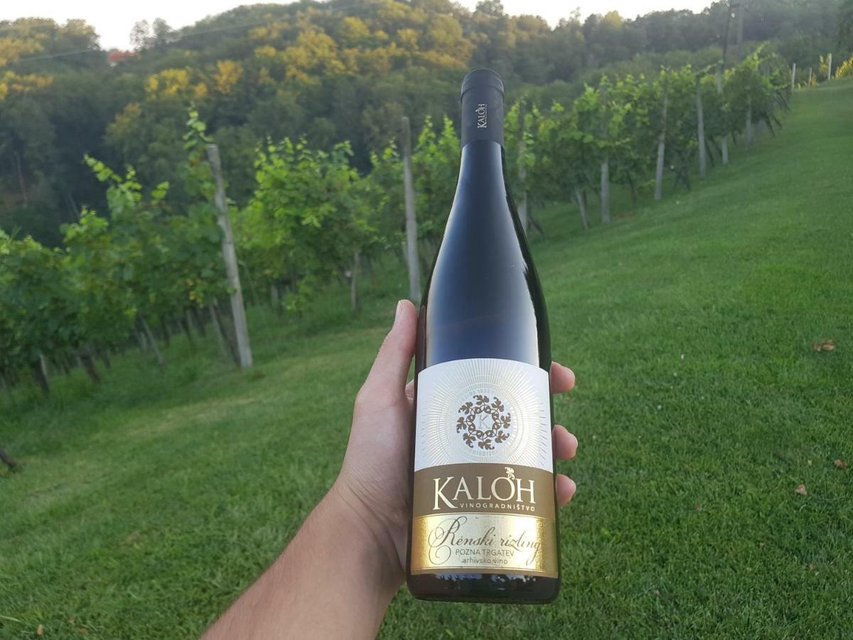 Vila Wine House Kaloh Maribor Exteriér fotografie