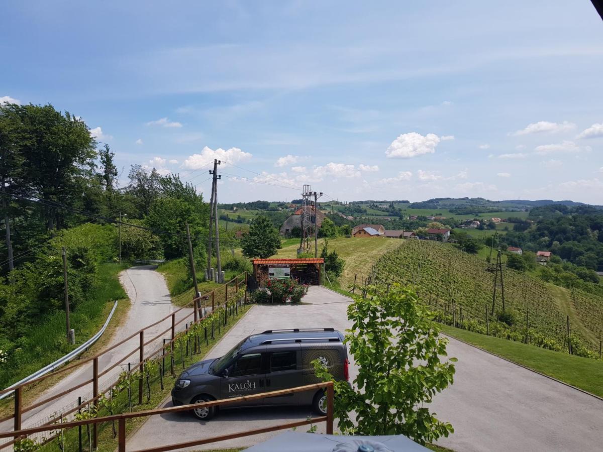 Vila Wine House Kaloh Maribor Exteriér fotografie
